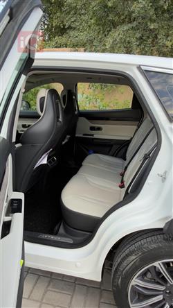 جیتۆر داشينگ